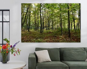 A maple plantation in summer by Claude Laprise