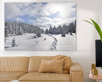 Snowshoe prints in the forest by Claude Laprise