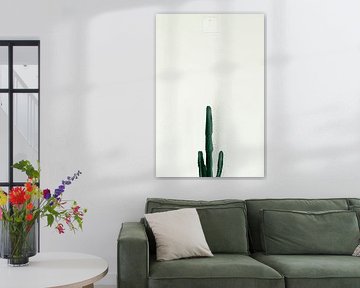 Cactus melancholy by michaelpweiss