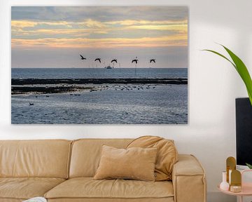 De vogeltrek op het wad bij zonsondergang