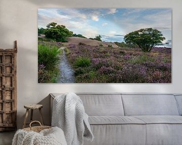 South Heath by Peter Veerman