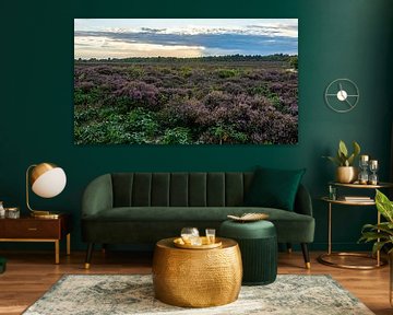 South Heath by Peter Veerman