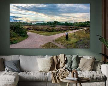 Zuiderheide