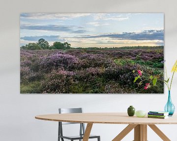 South Heath by Peter Veerman