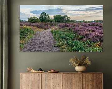 South Heath by Peter Veerman