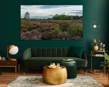 The South Heath by Peter Veerman
