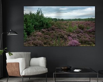 The South Heath by Peter Veerman