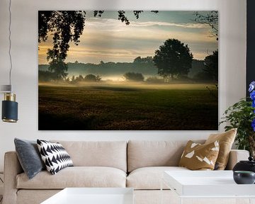 Bäume in einem Feld gegen den Himmel bei Sonnenaufgang