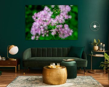 Delicate pink flowers on green background