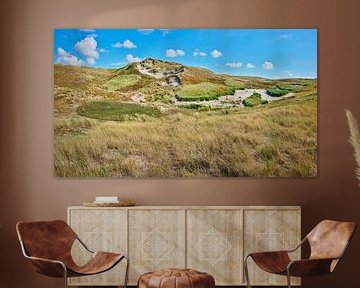 duinen het kustlandschap van Nederland