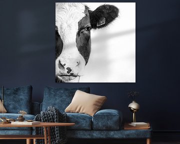 Portrait de vache en noir et blanc