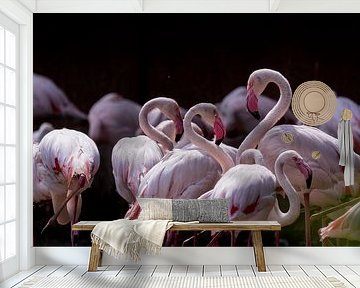 Flamingo’s in harmonie van Bob Mans