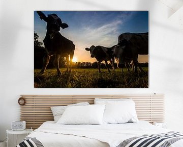 Koeien bij zonsondergang van Heleen van de Ven