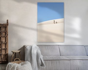 De schoonheid van vergankelijkheid in Zeeland van Claire van Dun