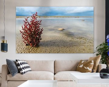 Sturm auf den Salzwiesen und dem Wattenmeer von Schiermonnikoog von Dan Photo Shaman
