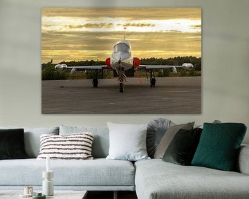 NF-5 néerlandais à l'heure d'or