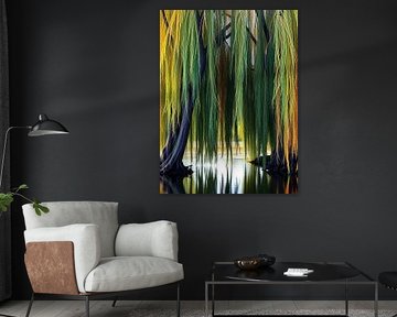 Chuchotements du saule : Une sereine tapisserie d'ombre et de soleil
