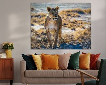 Lionne dans le parc national d'Etosha, en Namibie