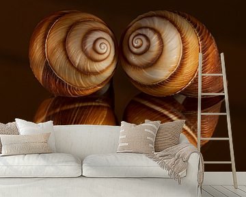 Warm shades of brown: Spiral shells with reflection by Marjolijn van den Berg