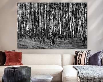 Birkenwald von Liesbeth van Herten