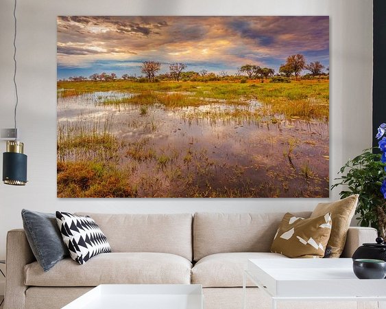 Aperçu de la chambre