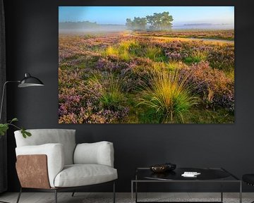 Sonnenaufgang über einer Heidelandschaft von Sjoerd van der Wal Fotografie