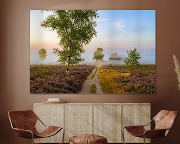 Pfad in einer Heidelandschaft bei Sonnenaufgang von Sjoerd van der Wal Fotografie