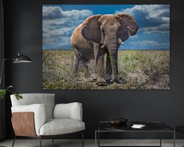 Ontmoeting met een grote olifant in Etosha, Namibië van Rietje Bulthuis