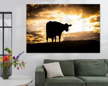 Koe bij zonsondergang van SO fotografie