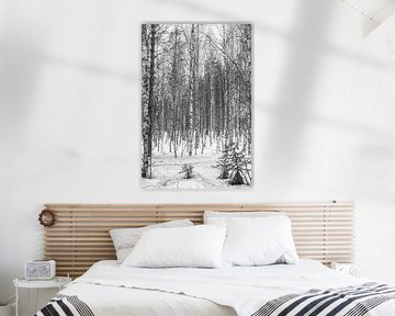 Berkenbos in Lapland met sneeuw in zwartt wit van Patricia Hofmeester
