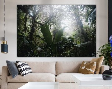 Monteverde Nebelwald – Das mystische Herz Costa Ricas von Rick Massar