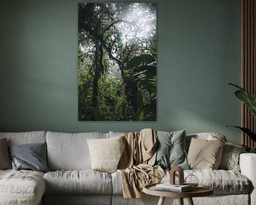 Monteverde Nebelwald – Das mystische Herz Costa Ricas von Rick Massar