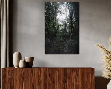 Monteverde Nebelwald – Das mystische Herz Costa Ricas von Rick Massar
