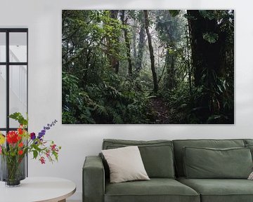 Monteverde Nebelwald – Das mystische Herz Costa Ricas von Rick Massar