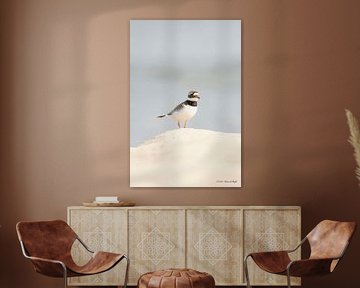 Pied-billed plover