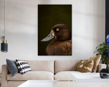Duckface by Iwan van den Hooff