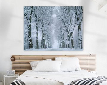 Sneeuw tussen de bomen van Double u photography