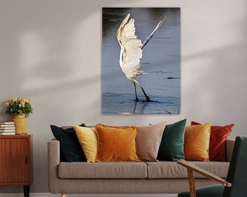 It really is a white heron in an art pose. by Brian Morgan