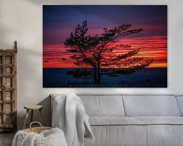 Soirée rouge au bord de la mer