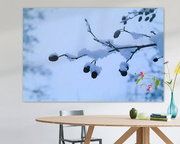 dik besneeuwde takken van Double u photography