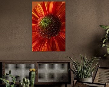 Zonnehoedje in het licht: Warme herfstkleuren van Marjolijn van den Berg