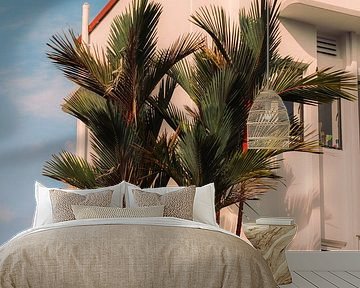 Art Deco in de tropen: palmbomen en architectuur in het ochtendlicht