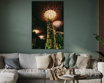 Licht en natuur: Superbomen in de Gardens by the Bay bij nacht van NZME Photography