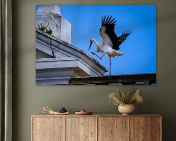 Cigogne à Faro sur Eddy Westdijk