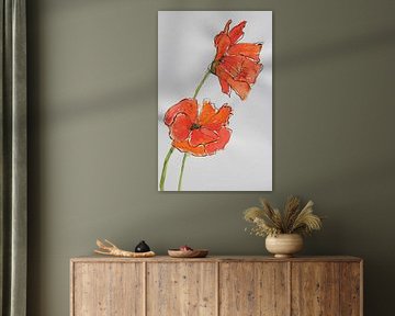 Rêve de coquelicots