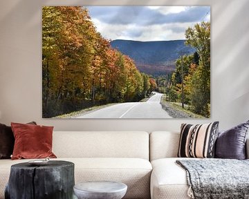 A country road in autumn