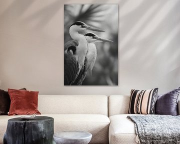 Twin Herons