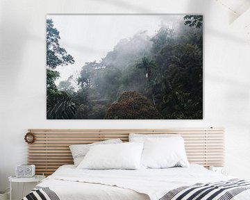 Arenal Hängebrücken – Mistico Park von Rick Massar