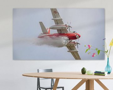 Conair Firecat sur Jaap van den Berg