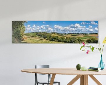 Panorama van de Fromberg in Zuid-Limburg van John Kreukniet